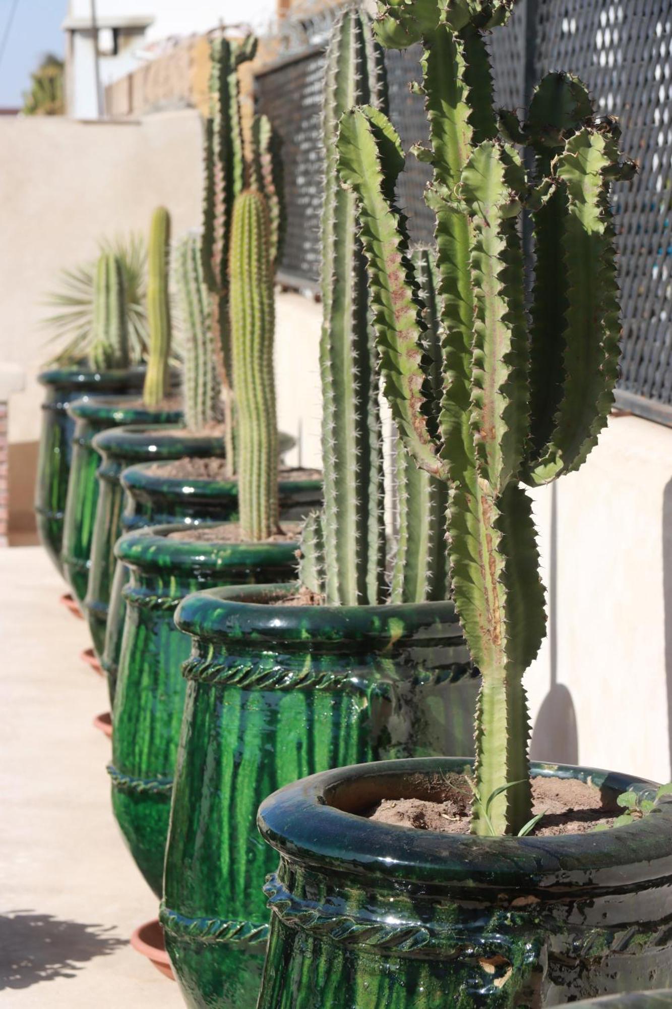 Riad Valentine Marrakesh Luaran gambar